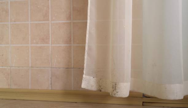 Best Airborne Mold Testing  in Temple City, CA