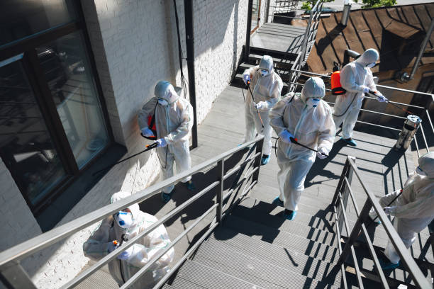 Best Comprehensive Air Testing for Mold Contaminants  in Temple City, CA