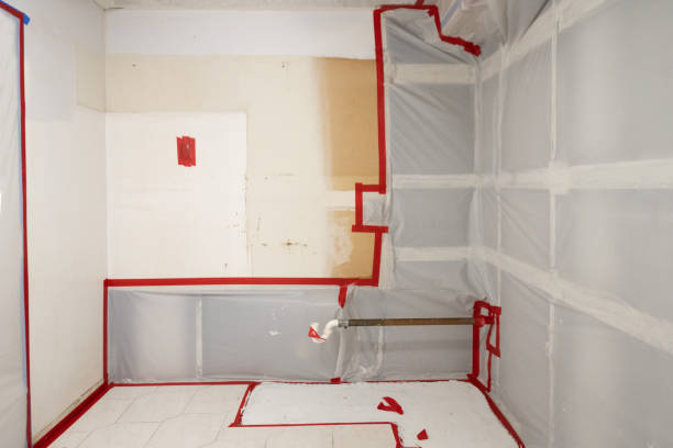 Best Residential Mold Inspection & Testing  in Temple City, CA