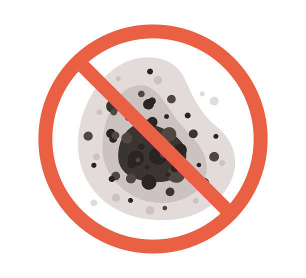 Best Emergency Mold Remediation  in Temple City, CA
