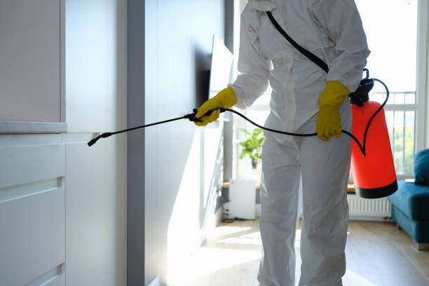 Best HVAC Mold Inspection and Cleaning  in Temple City, CA