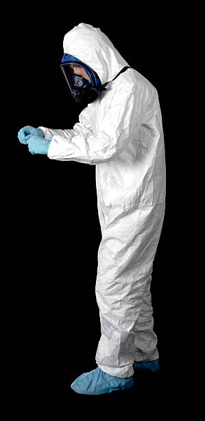 Professional Mold Removal in Temple City, CA