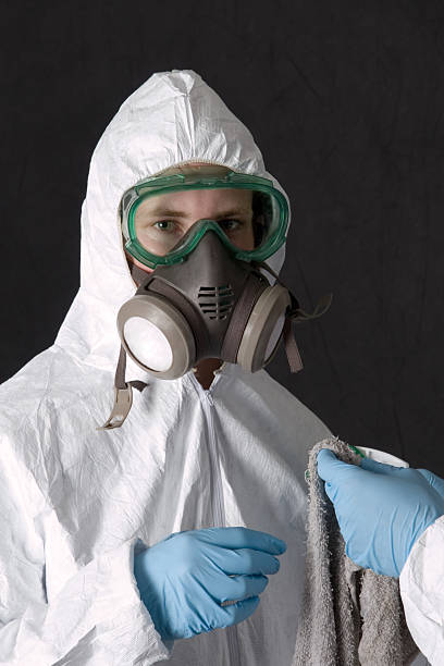 Best Water Damage & Mold Remediation  in Temple City, CA